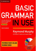 Basic Grammar in Use.pdf